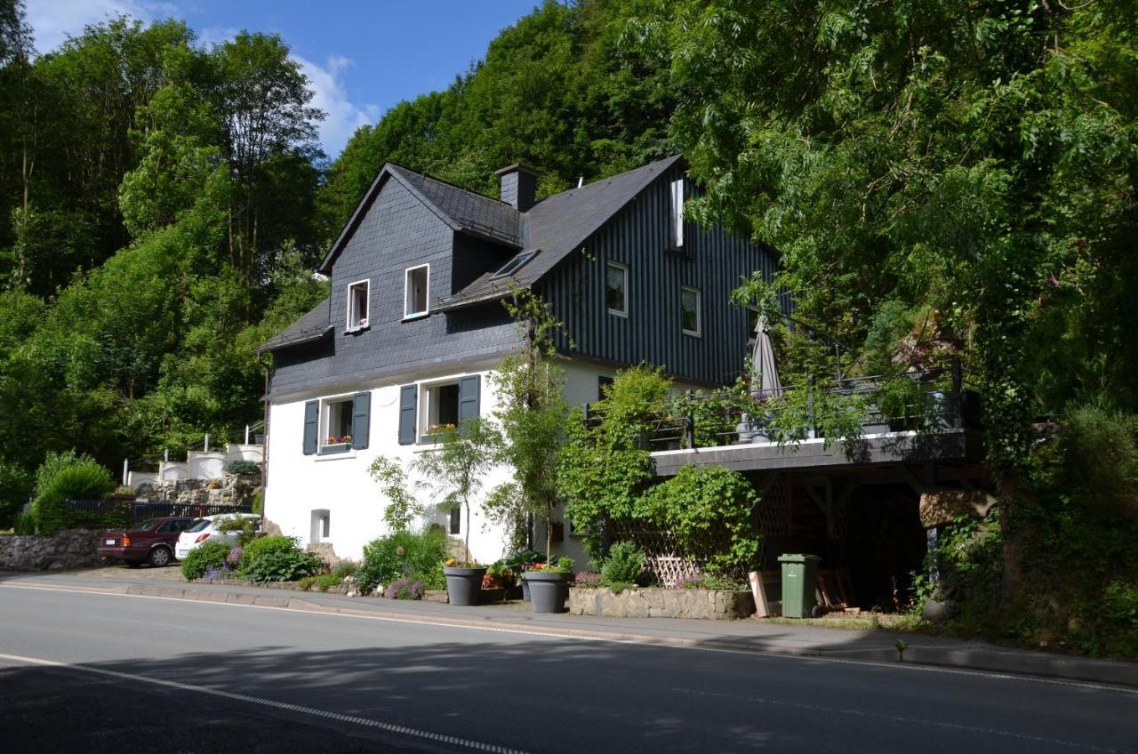 Birgits Landhaus Willingen Εξωτερικό φωτογραφία